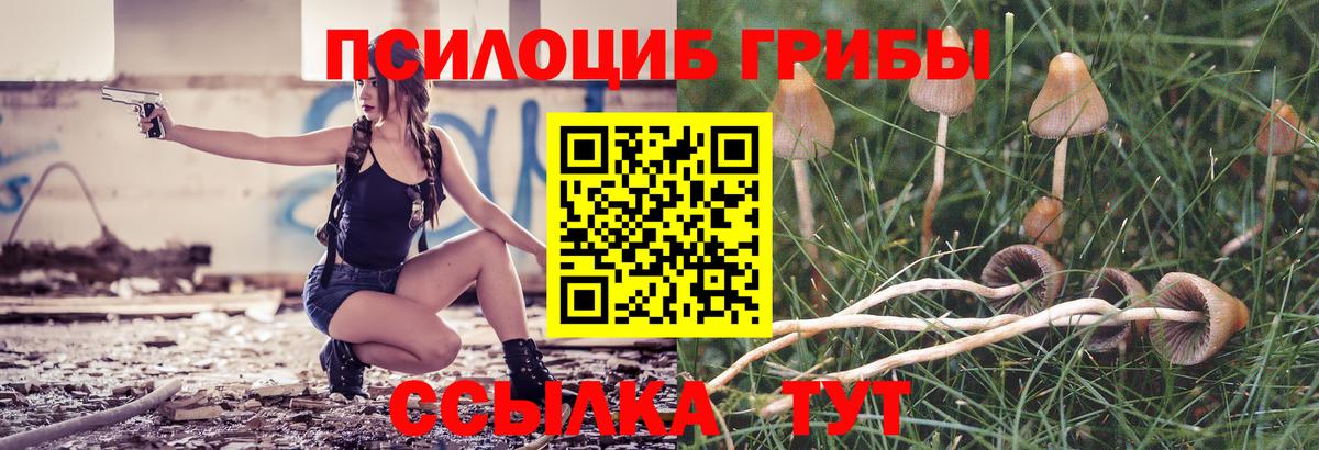 Благодарный  Псилоцибиновые грибы Psilocybe  Вход с VPN 
