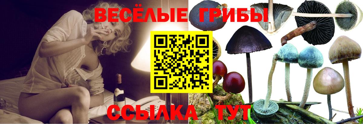Галлюциногенные грибы GOLDEN TEACHER Благодарный